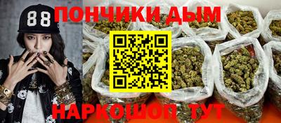 СК Дубна