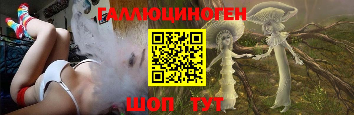 Галлюциногенные грибы Psilocybe  Псилоцибиновые грибы мухоморы  Менделеевск  Вход с VPN 